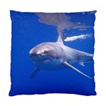 GREAT WHITE SHARK 4 Standard Cushion Case (Two Sides) Back