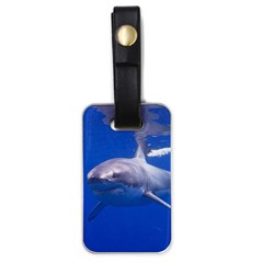 Great White Shark 4 Luggage Tags (one Side)  by trendistuff