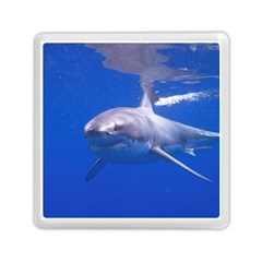 Great White Shark 4 Memory Card Reader (square)  by trendistuff