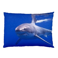 Great White Shark 4 Pillow Case (two Sides) by trendistuff