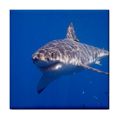 GREAT WHITE SHARK 5 Tile Coasters