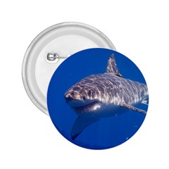 Great White Shark 5 2 25  Buttons by trendistuff