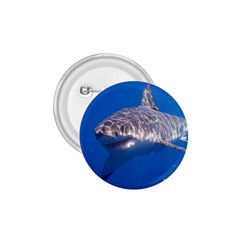 Great White Shark 5 1 75  Buttons by trendistuff