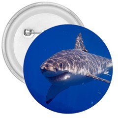 Great White Shark 5 3  Buttons by trendistuff