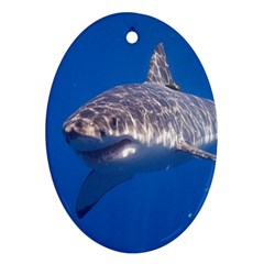 Great White Shark 5 Ornament (oval) by trendistuff