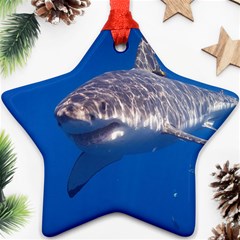 Great White Shark 5 Ornament (star) by trendistuff