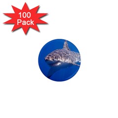 GREAT WHITE SHARK 5 1  Mini Magnets (100 pack) 