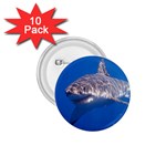 GREAT WHITE SHARK 5 1.75  Buttons (10 pack) Front