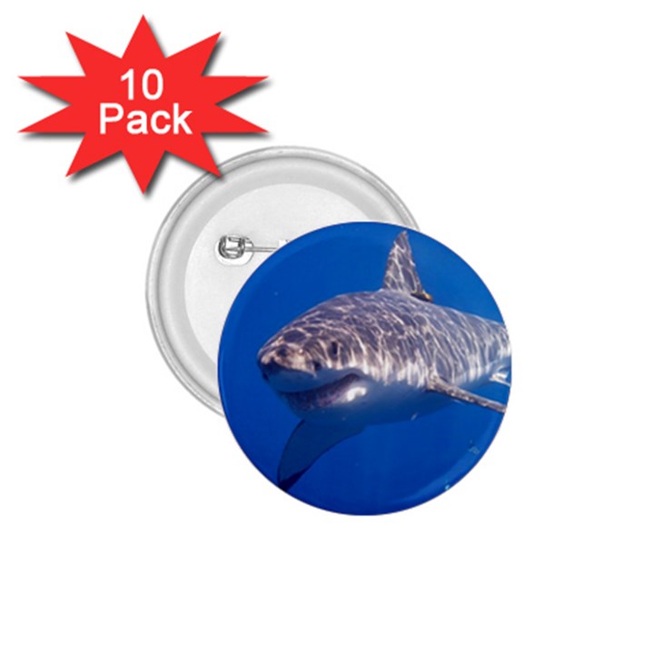 GREAT WHITE SHARK 5 1.75  Buttons (10 pack)