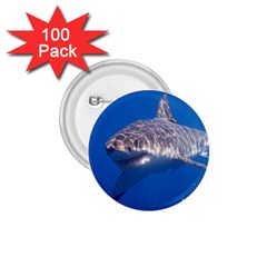 Great White Shark 5 1 75  Buttons (100 Pack)  by trendistuff