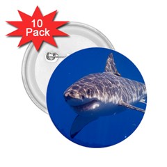 Great White Shark 5 2 25  Buttons (10 Pack)  by trendistuff