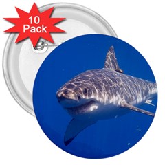 Great White Shark 5 3  Buttons (10 Pack)  by trendistuff