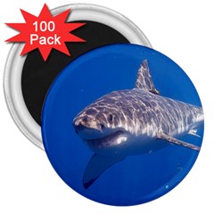 Great White Shark 5 3  Magnets (100 Pack) by trendistuff