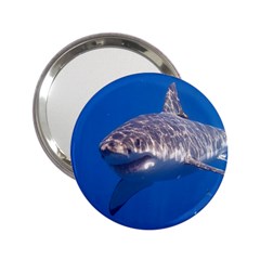 Great White Shark 5 2 25  Handbag Mirrors by trendistuff