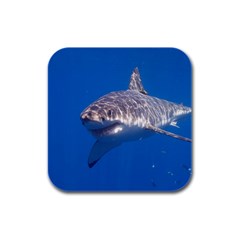 Great White Shark 5 Rubber Square Coaster (4 Pack)  by trendistuff