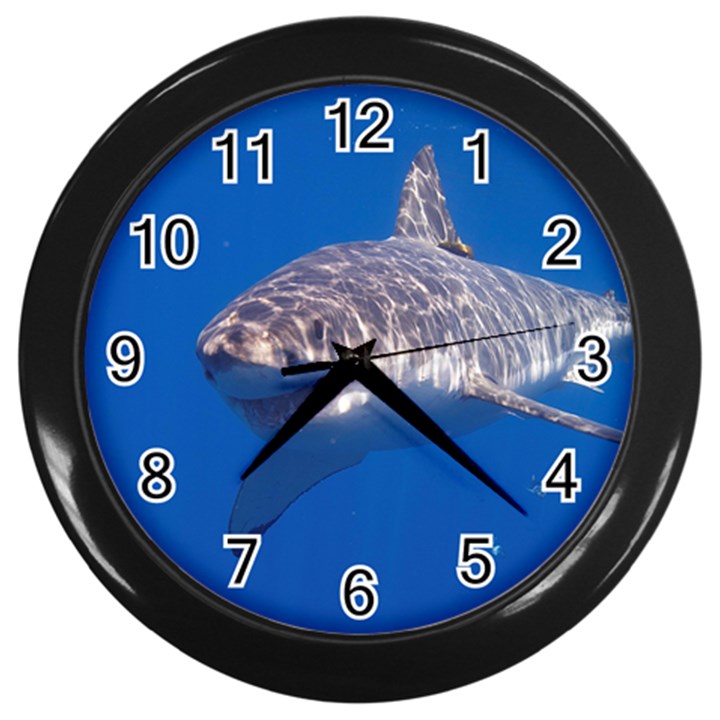 GREAT WHITE SHARK 5 Wall Clocks (Black)