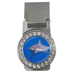 GREAT WHITE SHARK 5 Money Clips (CZ) 