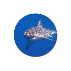 Great White Shark 5 Magnet 3  (round) by trendistuff