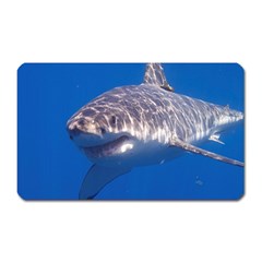 GREAT WHITE SHARK 5 Magnet (Rectangular)