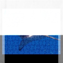 GREAT WHITE SHARK 5 Rectangular Jigsaw Puzzl