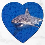 GREAT WHITE SHARK 5 Jigsaw Puzzle (Heart) Front