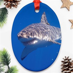 GREAT WHITE SHARK 5 Oval Ornament (Two Sides)