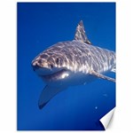 GREAT WHITE SHARK 5 Canvas 18  x 24   17.8 x23.08  Canvas - 1