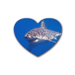 Great White Shark 5 Rubber Coaster (heart)  by trendistuff