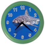 GREAT WHITE SHARK 5 Color Wall Clocks Front