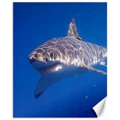 Great White Shark 5 Canvas 11  X 14   by trendistuff