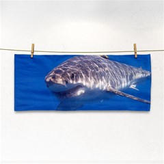 Great White Shark 5 Cosmetic Storage Cases by trendistuff