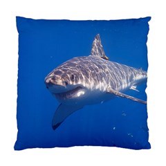 Great White Shark 5 Standard Cushion Case (two Sides) by trendistuff