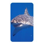 GREAT WHITE SHARK 5 Memory Card Reader Front