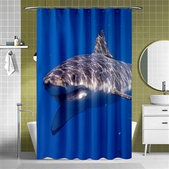 GREAT WHITE SHARK 5 Shower Curtain 48  x 72  (Small) 