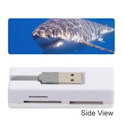 Great White Shark 5 Memory Card Reader (stick)  by trendistuff