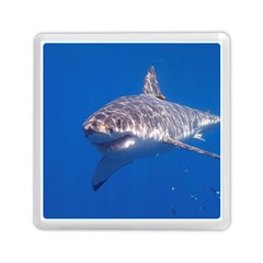 GREAT WHITE SHARK 5 Memory Card Reader (Square) 