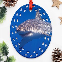 GREAT WHITE SHARK 5 Oval Filigree Ornament (Two Sides)