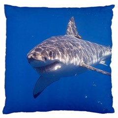 Great White Shark 5 Large Cushion Case (two Sides) by trendistuff