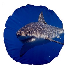 GREAT WHITE SHARK 5 Large 18  Premium Round Cushions