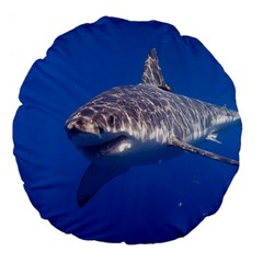 GREAT WHITE SHARK 5 Large 18  Premium Flano Round Cushions