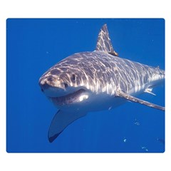 GREAT WHITE SHARK 5 Double Sided Flano Blanket (Small) 