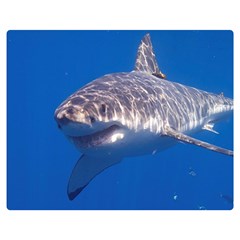 GREAT WHITE SHARK 5 Double Sided Flano Blanket (Medium) 