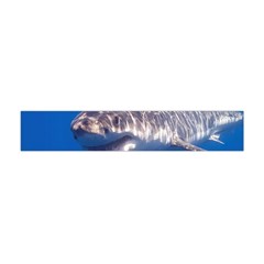 GREAT WHITE SHARK 5 Flano Scarf (Mini)