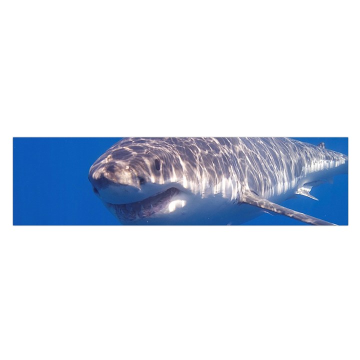 GREAT WHITE SHARK 5 Satin Scarf (Oblong)