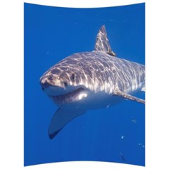 GREAT WHITE SHARK 5 Back Support Cushion