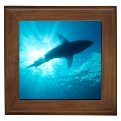 Great White Shark 6 Framed Tiles by trendistuff