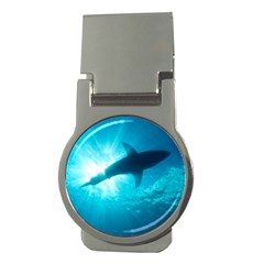 Great White Shark 6 Money Clips (round)  by trendistuff