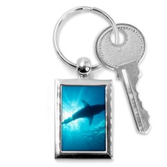 Great White Shark 6 Key Chains (rectangle)  by trendistuff