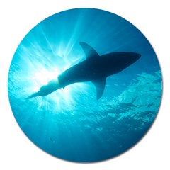 Great White Shark 6 Magnet 5  (round) by trendistuff