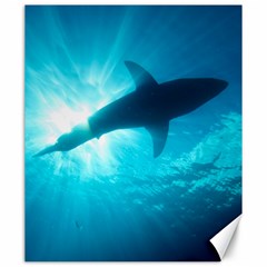 Great White Shark 6 Canvas 20  X 24   by trendistuff